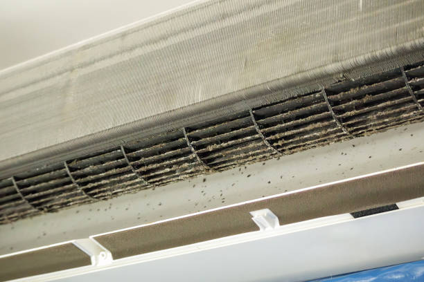 Best Dryer Vent Cleaning Services  in Riverview, FL